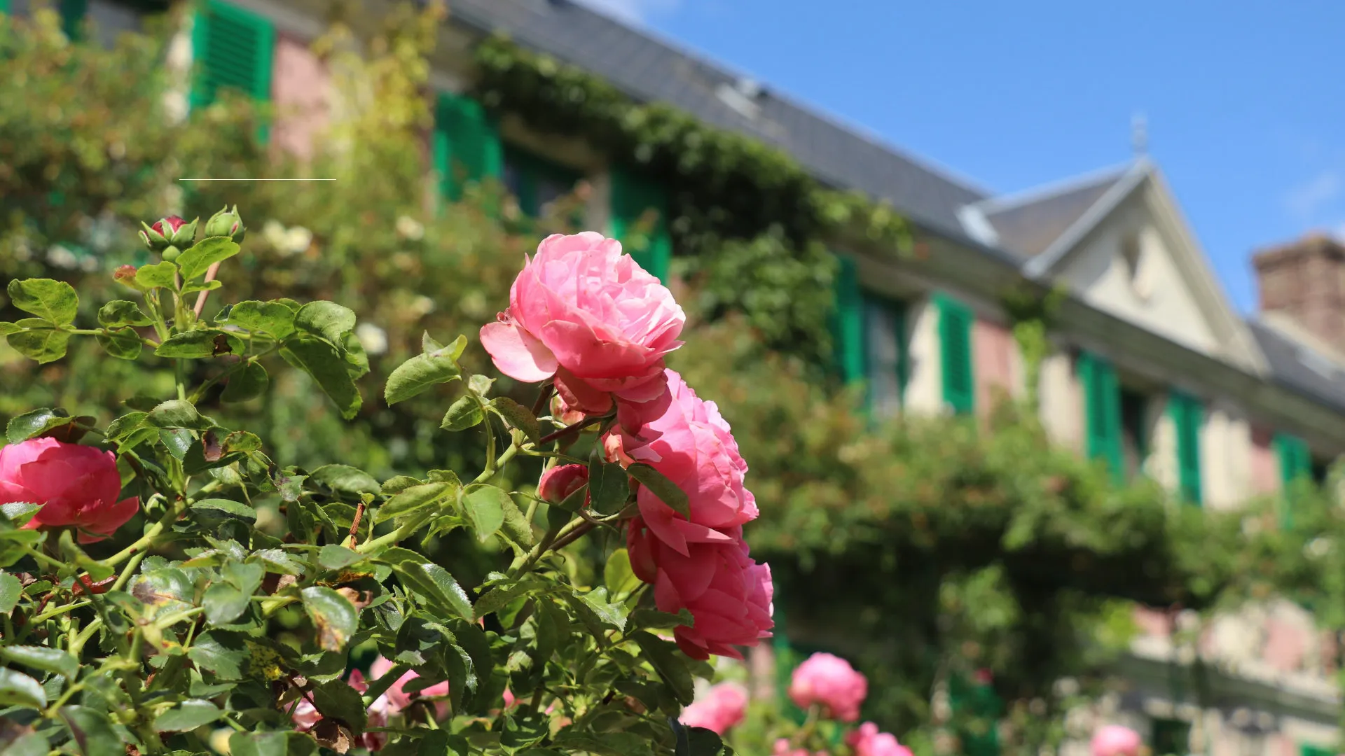 Découvrir Giverny
