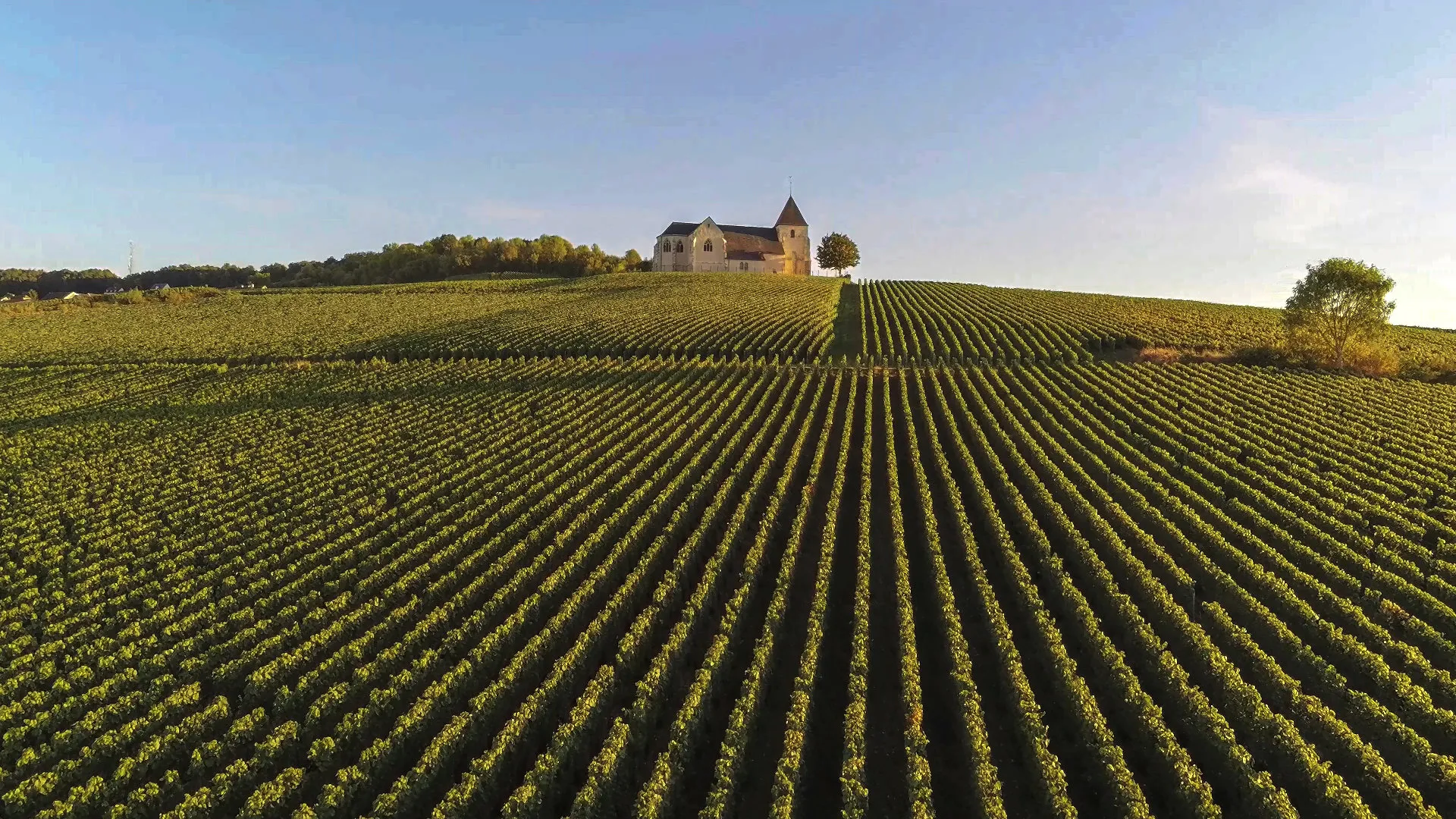 Visiter la Champagne